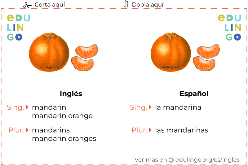 Ficha de Vocabulario Mandarina en inglés para imprimir, practicar y aprender