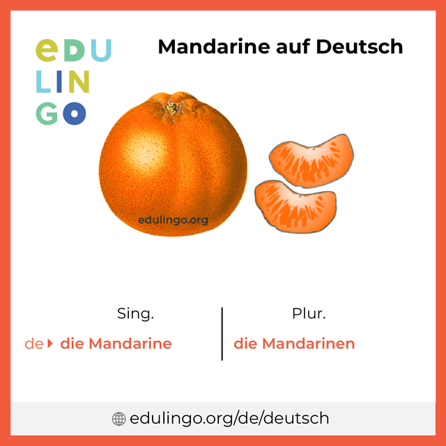 Mandarine auf Deutsch Vokabelbild mit Singular und Plural zum Herunterladen und Ausdrucken