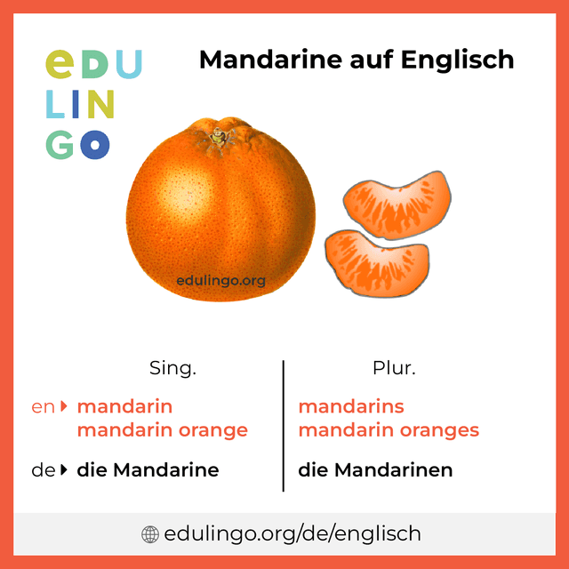 Mandarine auf Englisch Vokabelbild mit Singular und Plural zum Herunterladen und Ausdrucken