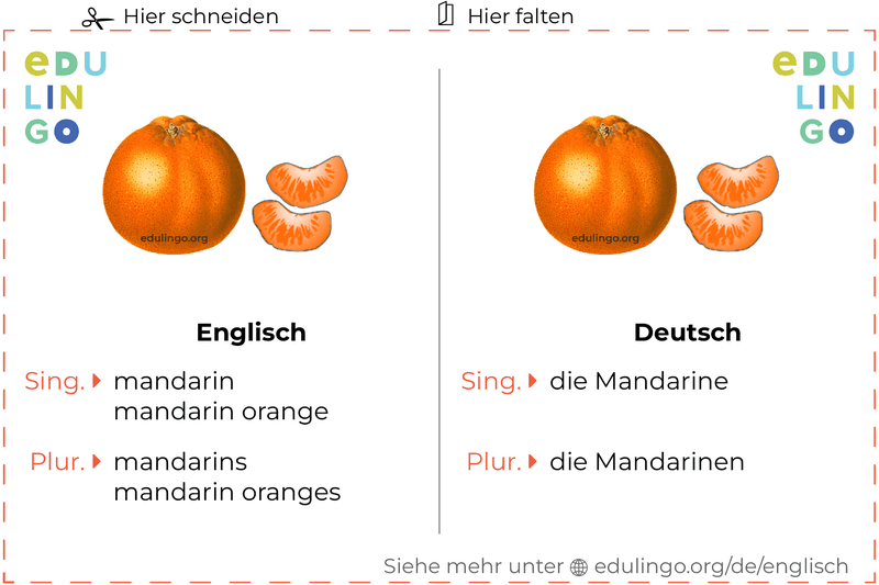 Mandarine auf Englisch Vokabelkartei zum Ausdrucken, Üben und Lernen