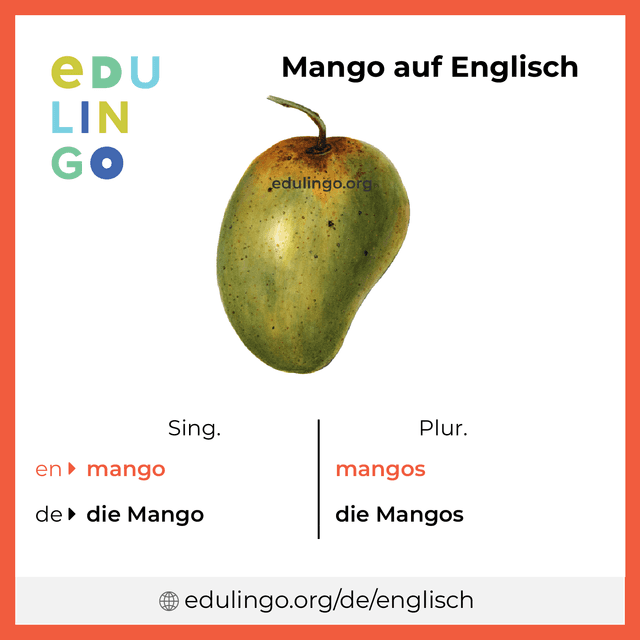 Mango auf Englisch Vokabelbild mit Singular und Plural zum Herunterladen und Ausdrucken