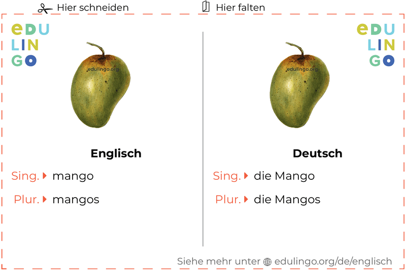 Mango auf Englisch Vokabelkartei zum Ausdrucken, Üben und Lernen