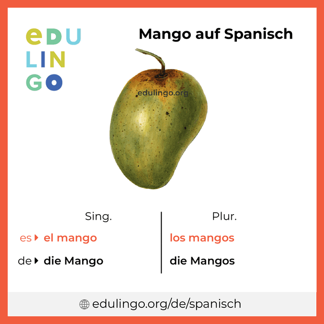Mango auf Spanisch Vokabelbild mit Singular und Plural zum Herunterladen und Ausdrucken