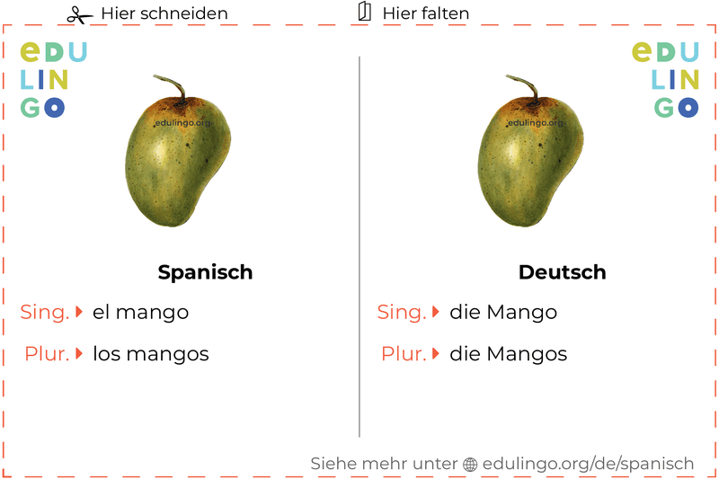 Mango auf Spanisch Vokabelkartei zum Ausdrucken, Üben und Lernen