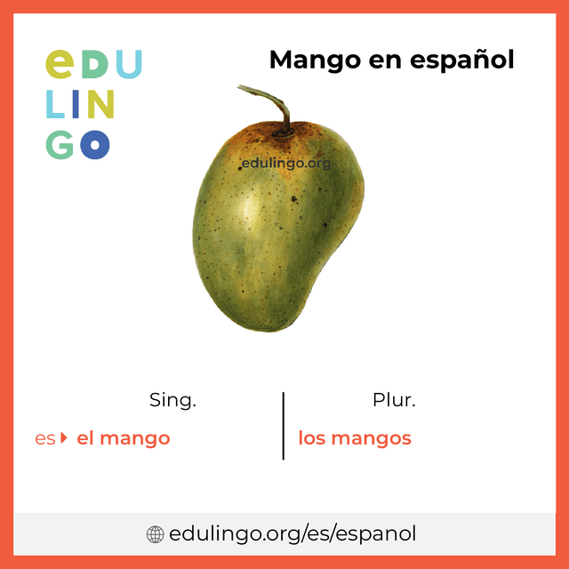 Imagen de vocabulario Mango en español con singular y plural para descargar e imprimir