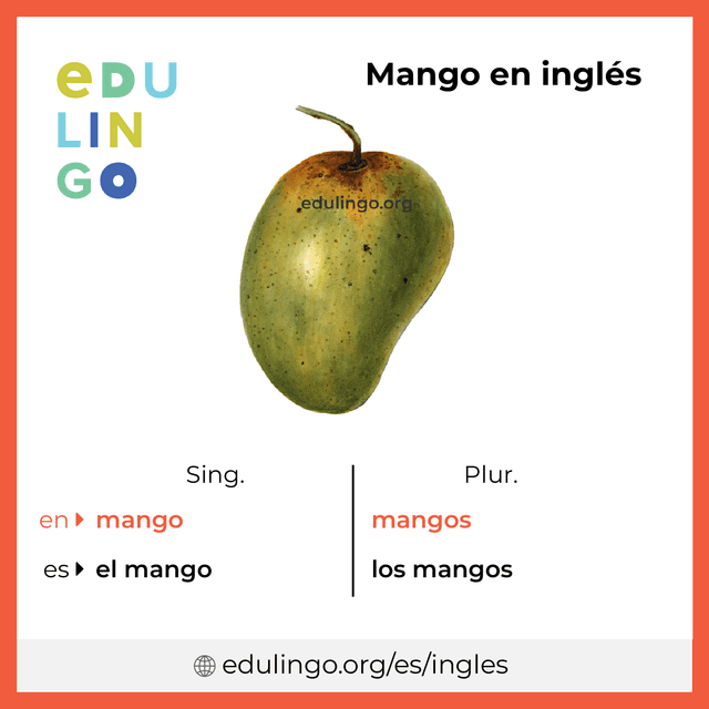 Imagen de vocabulario Mango en inglés con singular y plural para descargar e imprimir