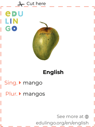 Mango in English vocabulary flashcard for printing, practicing and learning