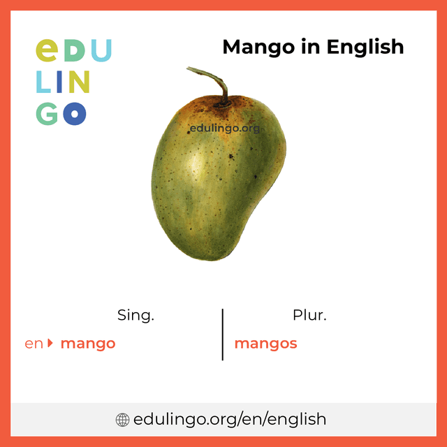 Mango in English vocabulary picture with singular and plural for download and printing