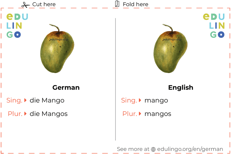 Mango in German vocabulary flashcard for printing, practicing and learning
