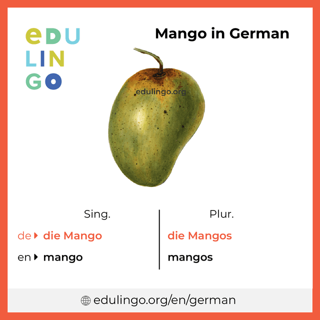 Mango in German vocabulary picture with singular and plural for download and printing