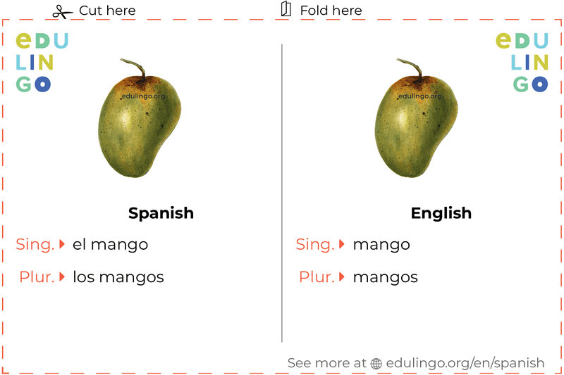 Mango in Spanish vocabulary flashcard for printing, practicing and learning