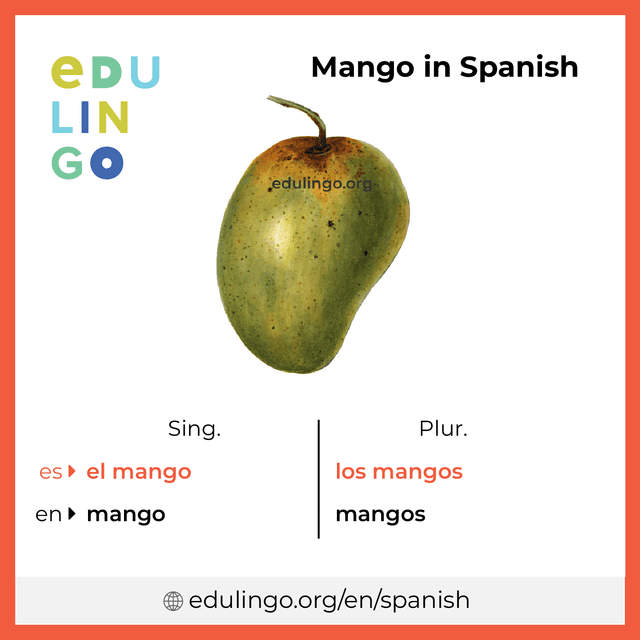 Mango in Spanish vocabulary picture with singular and plural for download and printing
