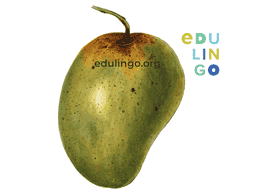 Thumbnail: Mango in English