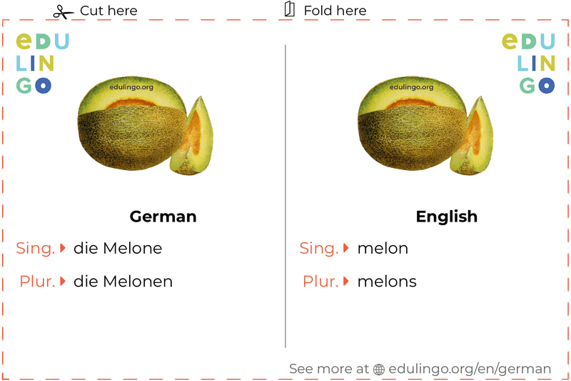 Melon in German vocabulary flashcard for printing, practicing and learning