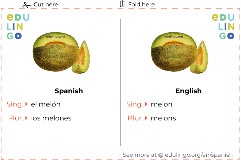 Melon in Spanish vocabulary flashcard for printing, practicing and learning