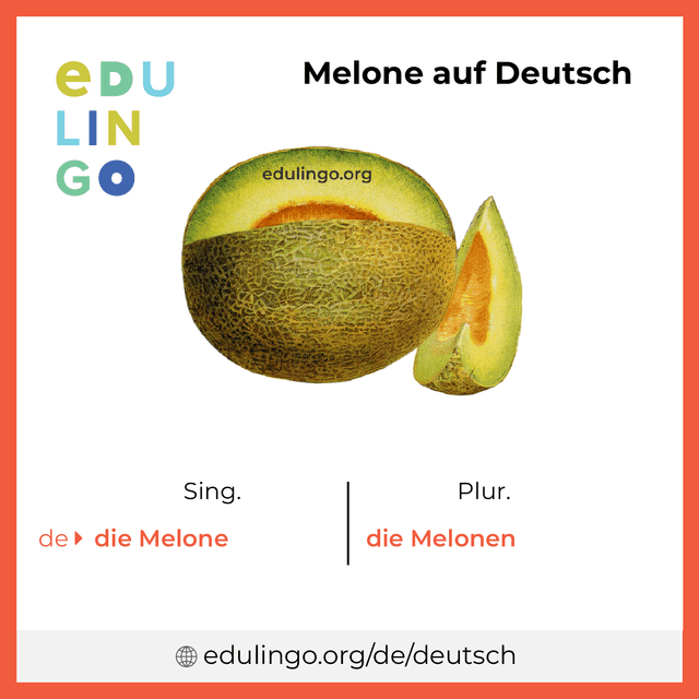 Melone auf Deutsch Vokabelbild mit Singular und Plural zum Herunterladen und Ausdrucken