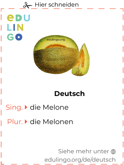 Melone auf Deutsch Vokabelkartei zum Ausdrucken, Üben und Lernen