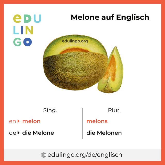 Melone auf Englisch Vokabelbild mit Singular und Plural zum Herunterladen und Ausdrucken