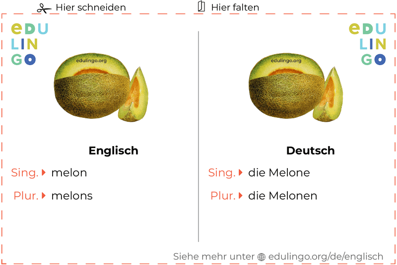 Melone auf Englisch Vokabelkartei zum Ausdrucken, Üben und Lernen