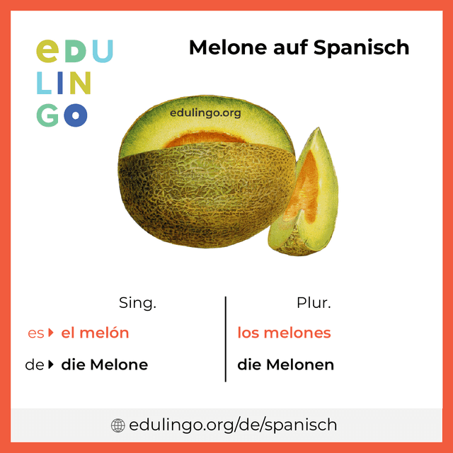 Melone auf Spanisch Vokabelbild mit Singular und Plural zum Herunterladen und Ausdrucken