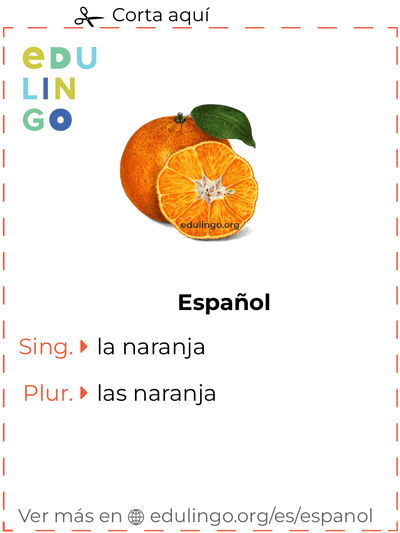 Ficha de Vocabulario Naranja en español para imprimir, practicar y aprender