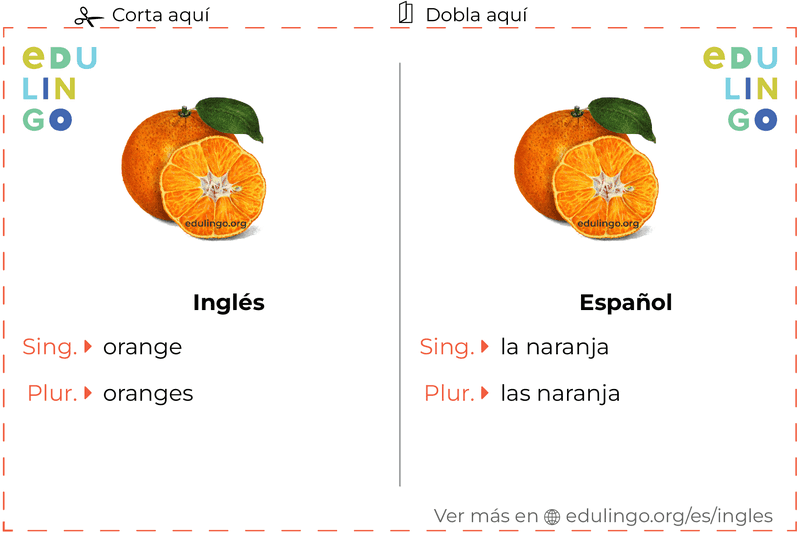 Ficha de Vocabulario Naranja en inglés para imprimir, practicar y aprender