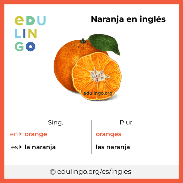 Imagen de vocabulario Naranja en inglés con singular y plural para descargar e imprimir