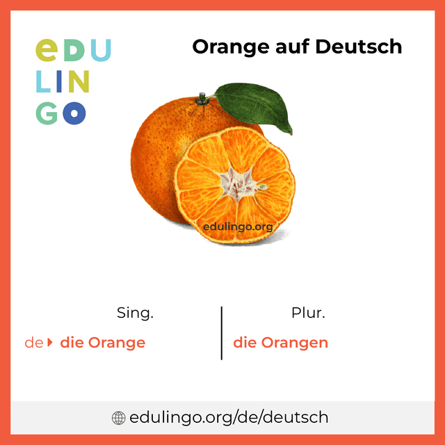 Orange auf Deutsch Vokabelbild mit Singular und Plural zum Herunterladen und Ausdrucken