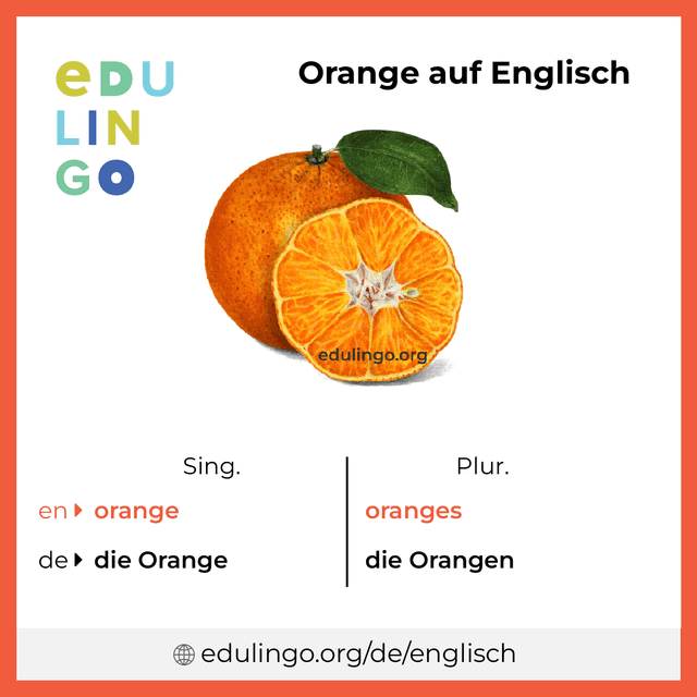 Orange auf Englisch Vokabelbild mit Singular und Plural zum Herunterladen und Ausdrucken