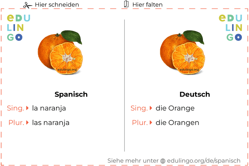 Orange auf Spanisch Vokabelkartei zum Ausdrucken, Üben und Lernen