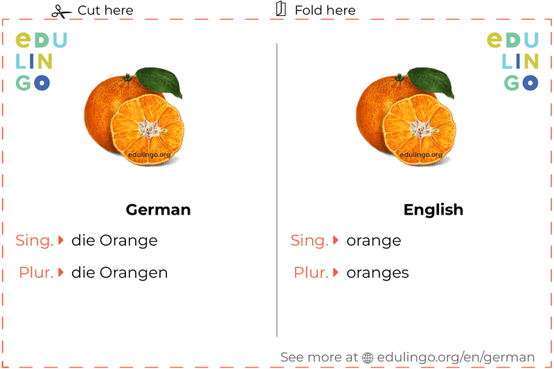 Orange in German vocabulary flashcard for printing, practicing and learning