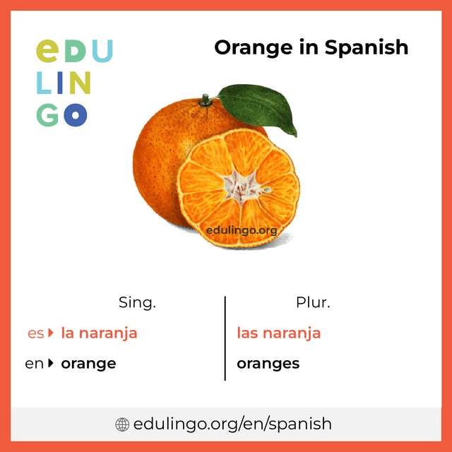 Orange in Spanish vocabulary picture with singular and plural for download and printing