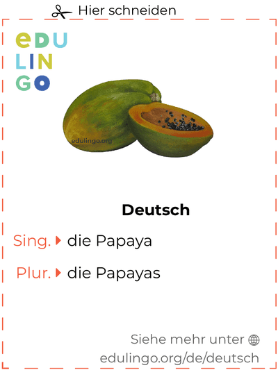 Papaya auf Deutsch Vokabelkartei zum Ausdrucken, Üben und Lernen