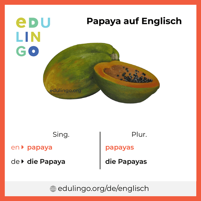 Papaya auf Englisch Vokabelbild mit Singular und Plural zum Herunterladen und Ausdrucken