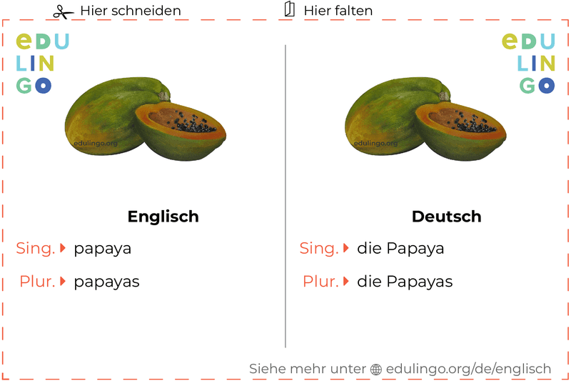 Papaya auf Englisch Vokabelkartei zum Ausdrucken, Üben und Lernen