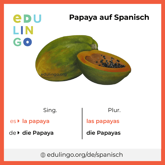 Papaya auf Spanisch Vokabelbild mit Singular und Plural zum Herunterladen und Ausdrucken