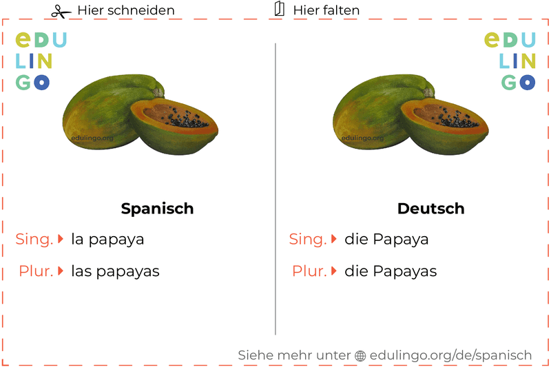 Papaya auf Spanisch Vokabelkartei zum Ausdrucken, Üben und Lernen