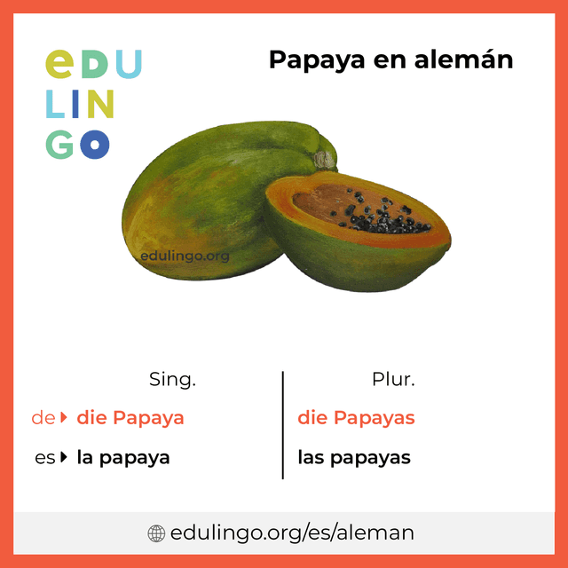 Imagen de vocabulario Papaya en alemán con singular y plural para descargar e imprimir