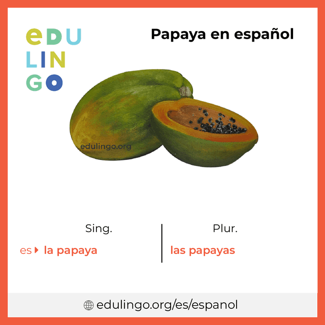 Imagen de vocabulario Papaya en español con singular y plural para descargar e imprimir
