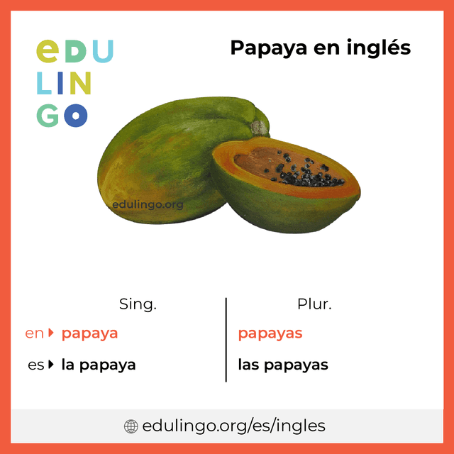 Imagen de vocabulario Papaya en inglés con singular y plural para descargar e imprimir
