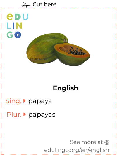 Papaya in English vocabulary flashcard for printing, practicing and learning