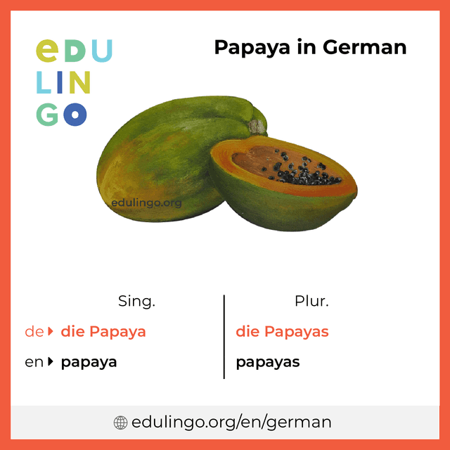 Papaya in German vocabulary picture with singular and plural for download and printing