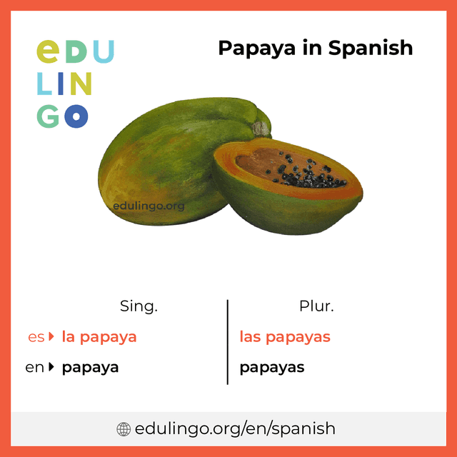 Papaya in Spanish vocabulary picture with singular and plural for download and printing