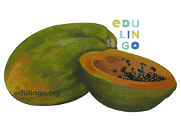 Thumbnail: Papaya in English