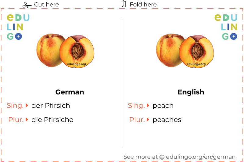 Peach in German vocabulary flashcard for printing, practicing and learning