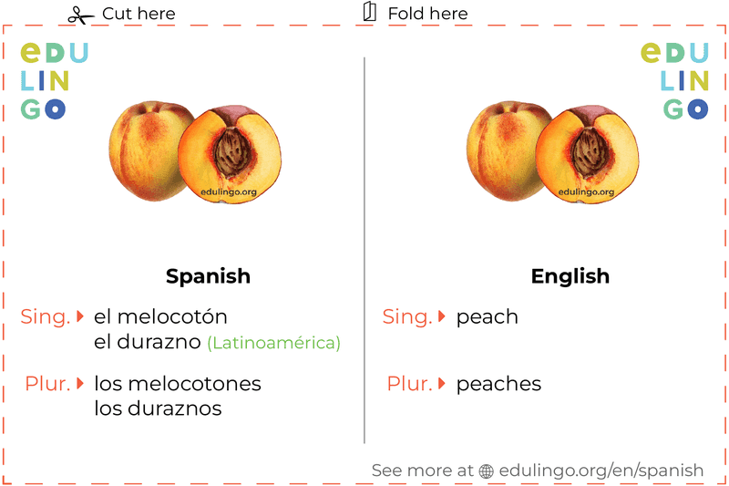 Peach in Spanish vocabulary flashcard for printing, practicing and learning