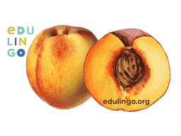 Thumbnail: Peach in English