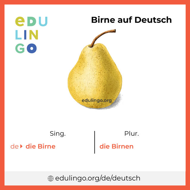 Birne auf Deutsch Vokabelbild mit Singular und Plural zum Herunterladen und Ausdrucken
