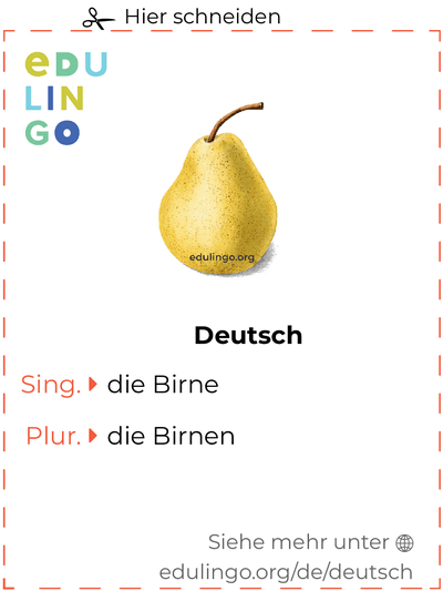 Birne auf Deutsch Vokabelkartei zum Ausdrucken, Üben und Lernen
