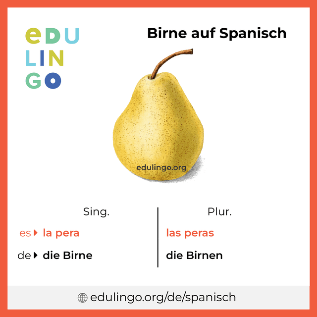 Birne auf Spanisch Vokabelbild mit Singular und Plural zum Herunterladen und Ausdrucken